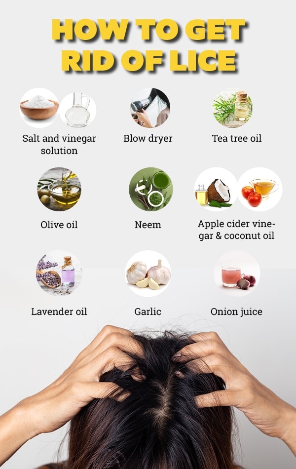 Can Coconut Oil Kill Lice Omega Maiden Oils
